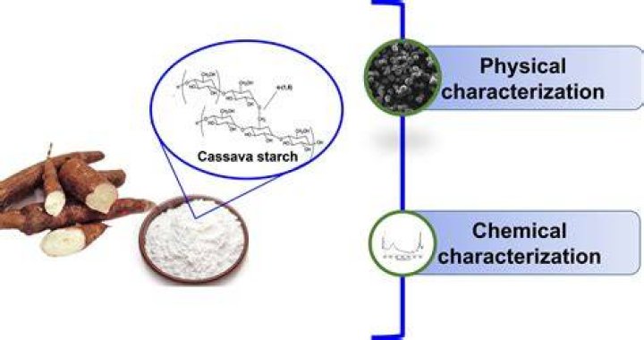 Can you use normal starch instead of tapioca starch?