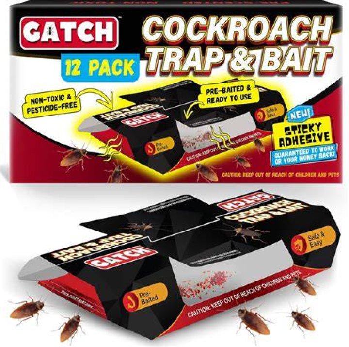 Do you bait glue traps