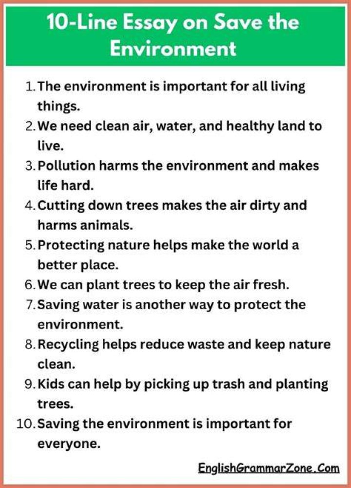 How can we save our environment essay