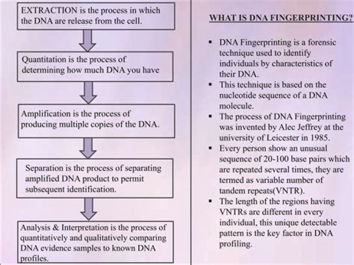 Which country invented fingerprinting